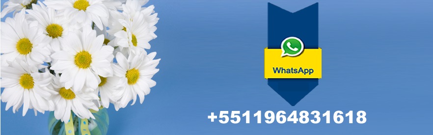 flower delivery sao paulo whatsapp +5511964831618